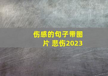 伤感的句子带图片 悲伤2023